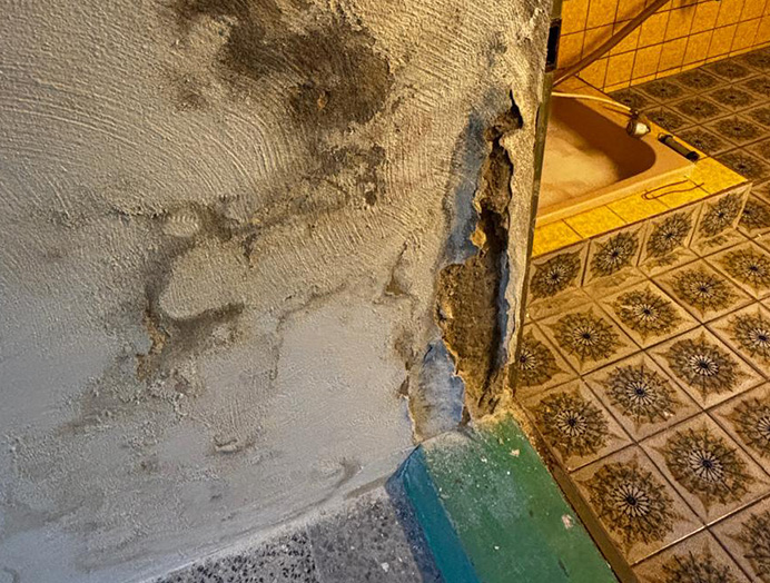 Schimmel & Wasserschaden